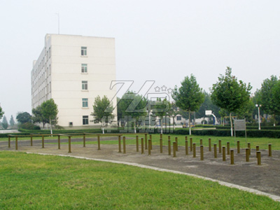 �����ߣ�÷�����������ۘ�