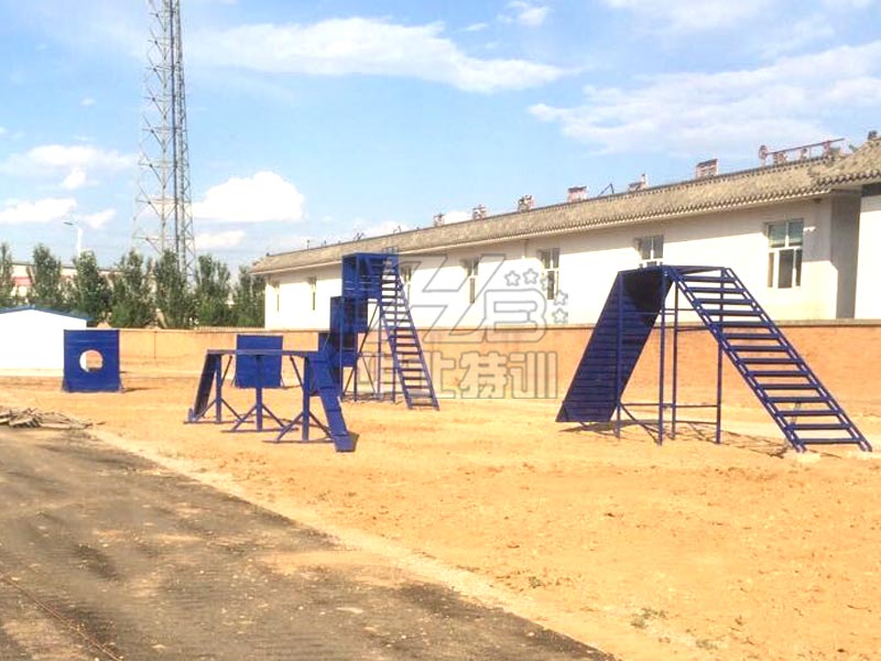 ��ȮӖ����